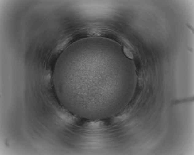 X0000095960314200801111407