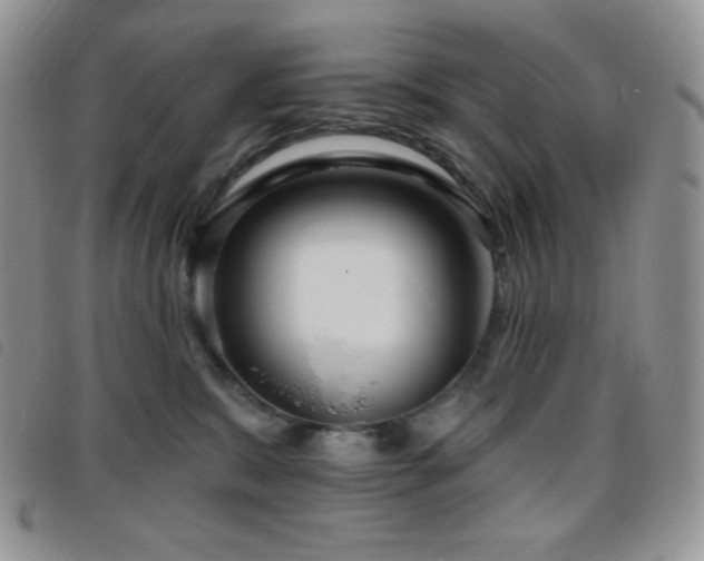 X0000095960327200801111407
