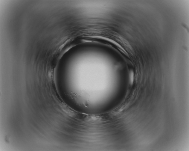 X0000095960329200801111407