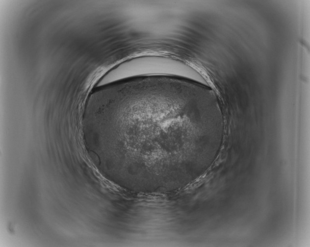 X0000095960337200801111406