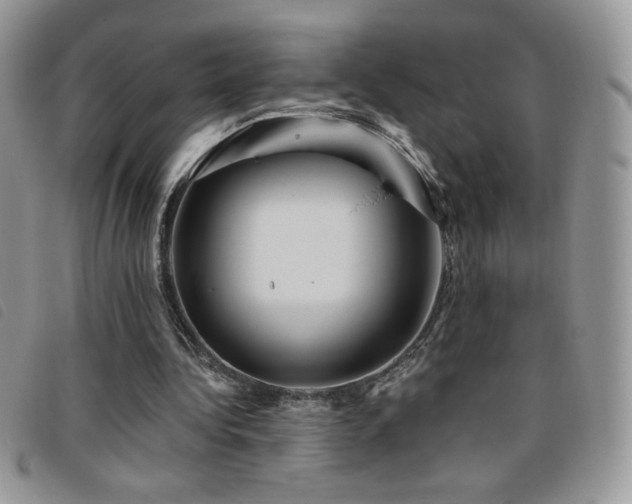 X0000095960340200801111406