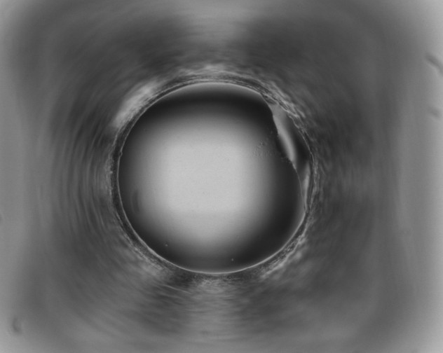 X0000095960341200801111406