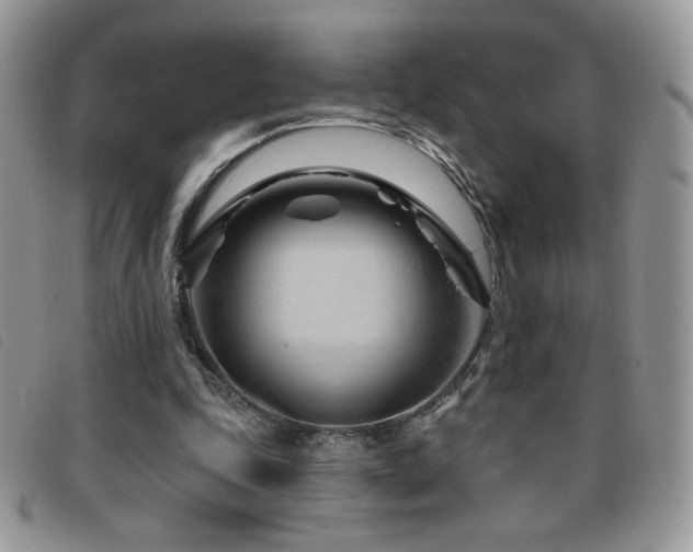 X0000095960343200801111406