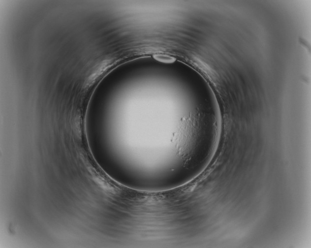 X0000095960345200801111407