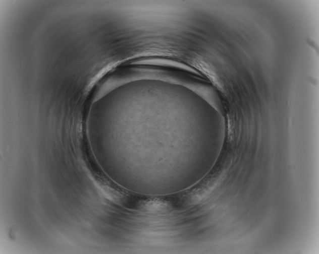 X0000095960348200801111407