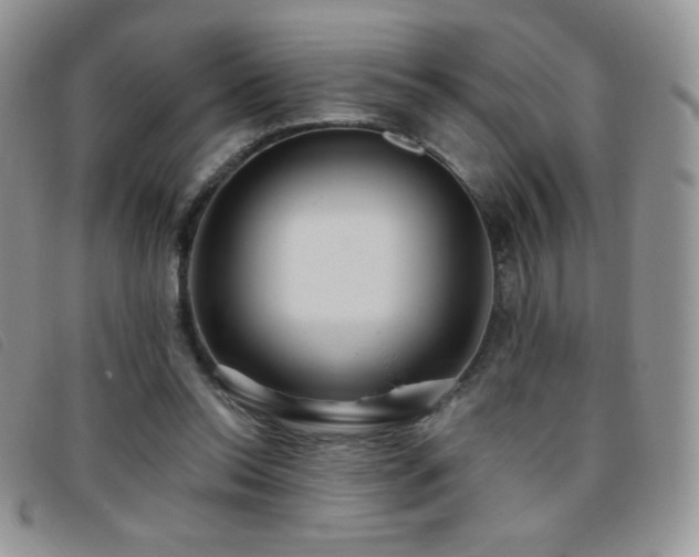 X0000095960350200801111407