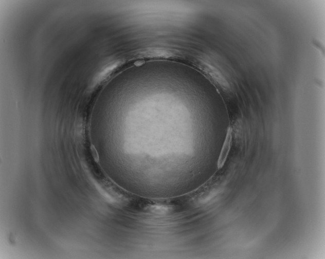X0000095960352200801111407