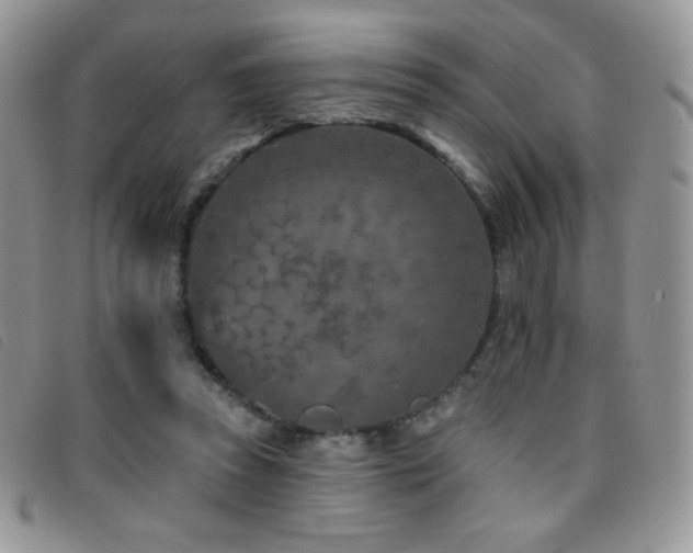 X0000095960353200801111407
