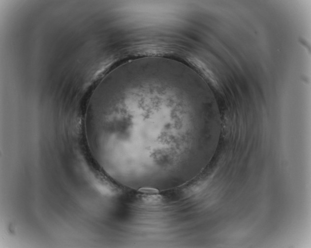 X0000095960355200801111407