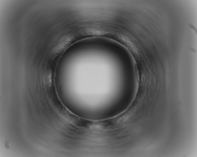 X0000095960358200801111407