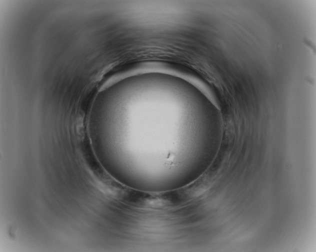 X0000095960360200801111407