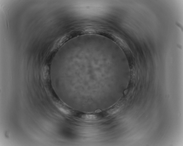 X0000095960361200801111407