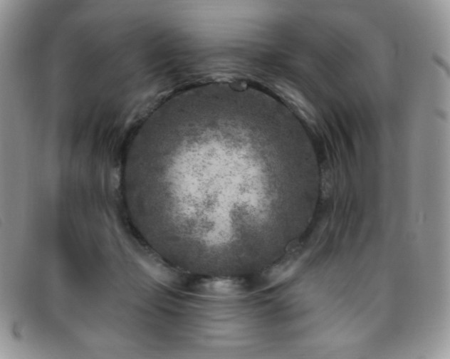 X0000095960365200801111407