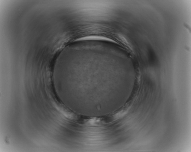 X0000095960366200801111407