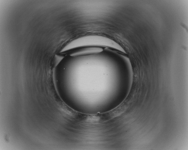 X0000095960369200801111407