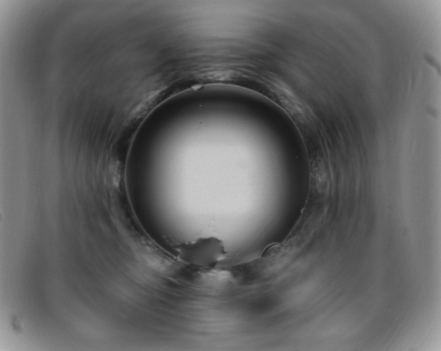 X0000095960374200801111407