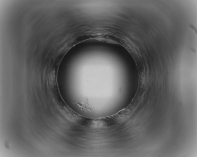 X0000095960376200801111407