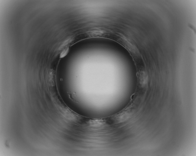 X0000095960378200801111407