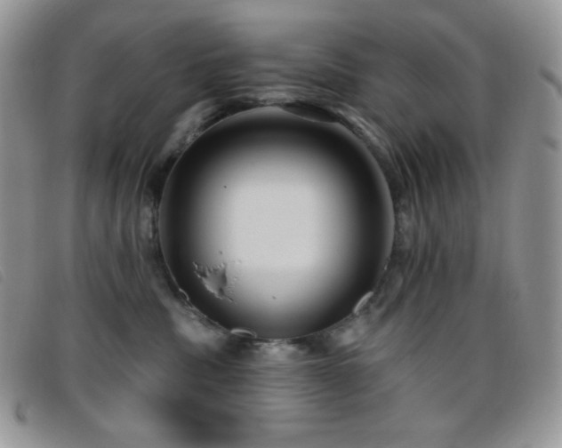 X0000095960379200801111407