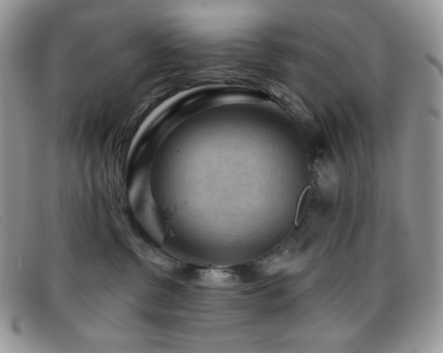 X0000095960380200801111407