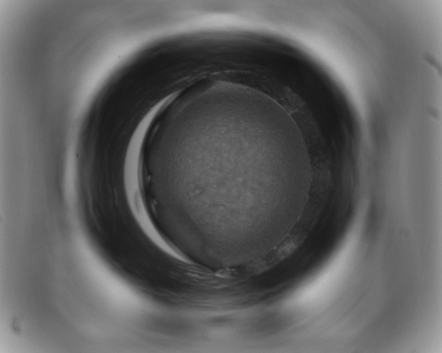 X0000095960382200801111407