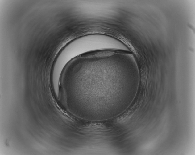 X0000095960386200801111406