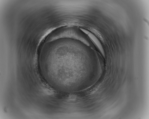 X0000095960388200801111406