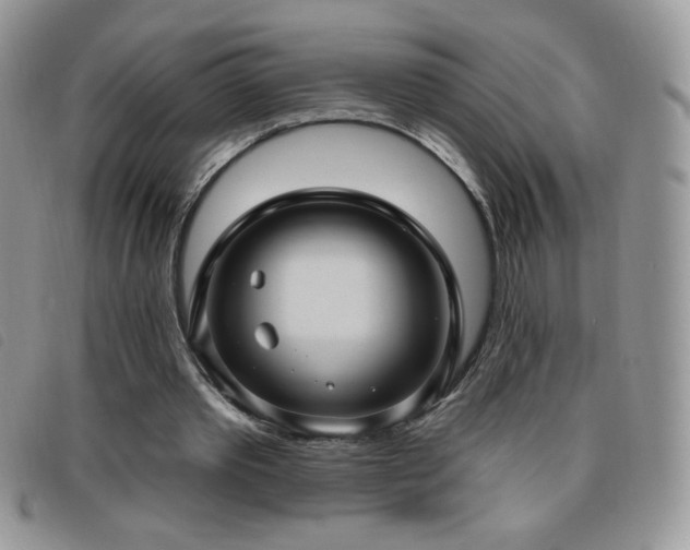 X0000095960389200801111406