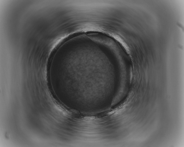 X0000095960391200801111406