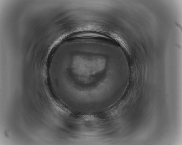 X0000095960392200801111406