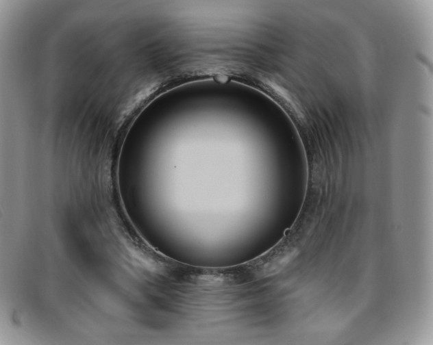 X0000095960394200801111406