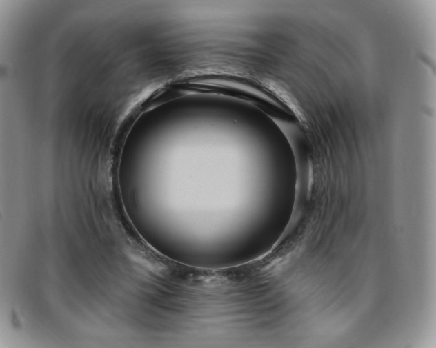 X0000095960395200801111406