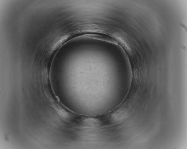 X0000095960397200801111406