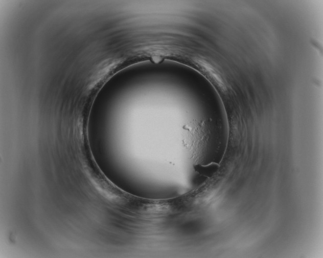X0000095960398200801111406