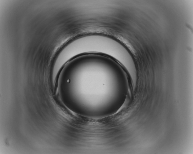 X0000095960399200801111406