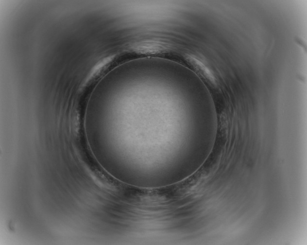 X0000095960400200801111406