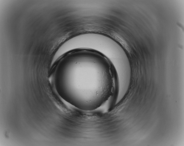 X0000095960401200801111406
