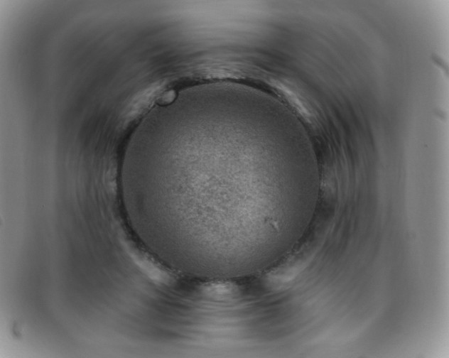X0000095960402200801111406