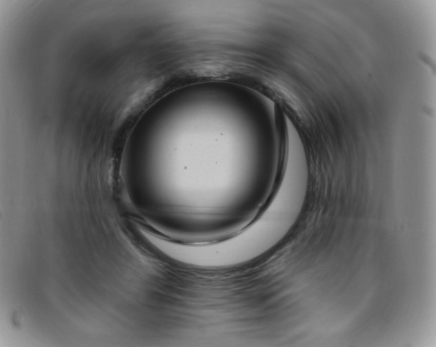 X0000095960404200801111406