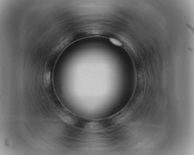 X0000095960406200801111406