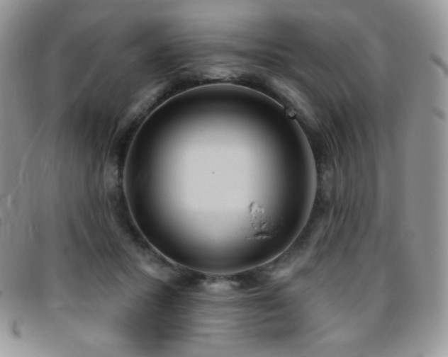 X0000095960407200801111406