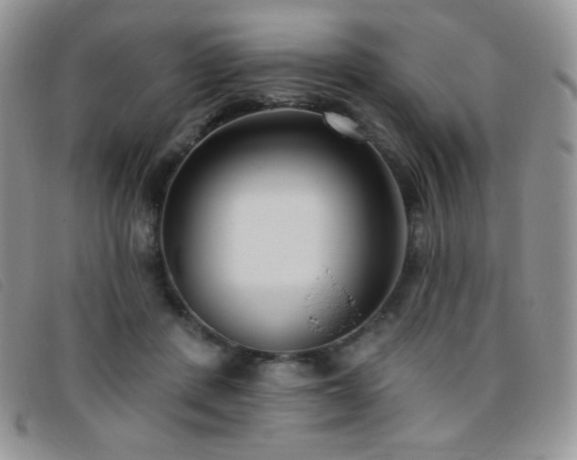 X0000095960408200801111406