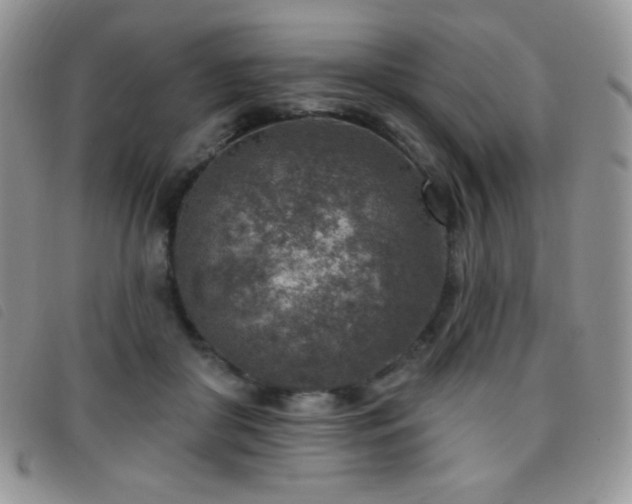 X0000095960410200801111406
