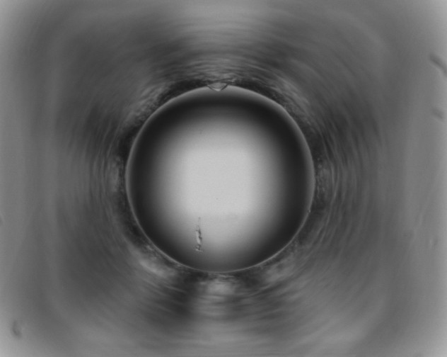 X0000095960412200801111406