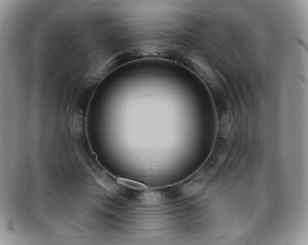 X0000095960413200801111406