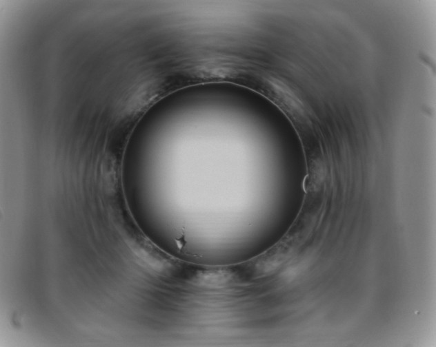 X0000095960414200801111406