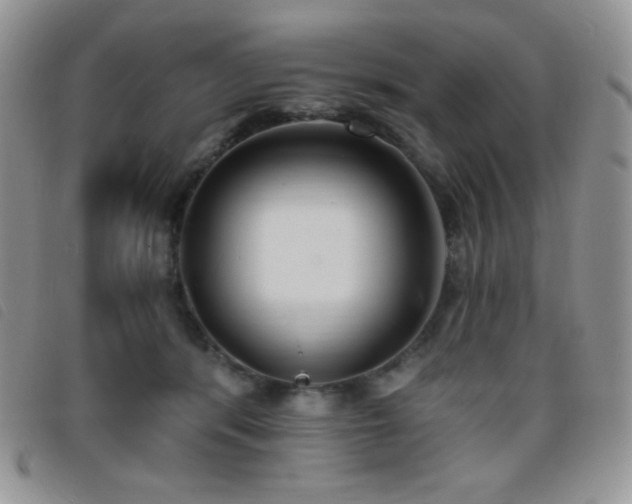 X0000095960416200801111406