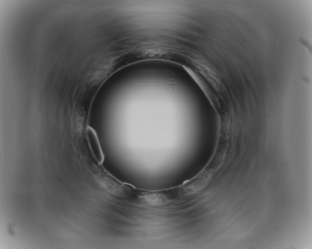 X0000095960417200801111406