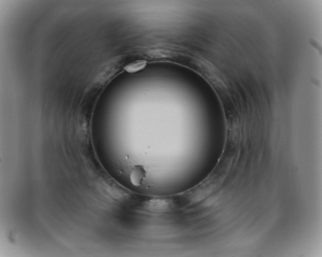 X0000095960418200801111406