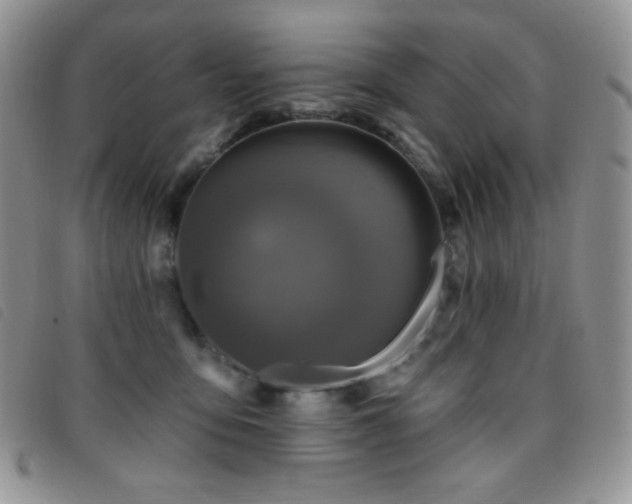 X0000095960419200801111406